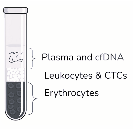 Image 3: Test Tube Components